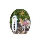 ケイト・郁舞スタンプ（個別スタンプ：2）