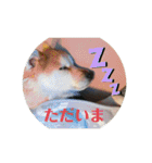 ケイト・郁舞スタンプ（個別スタンプ：4）
