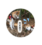 ケイト・郁舞スタンプ（個別スタンプ：6）