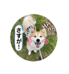 ケイト・郁舞スタンプ（個別スタンプ：8）