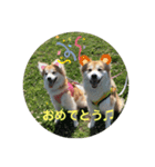ケイト・郁舞スタンプ（個別スタンプ：9）