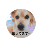 ケイト・郁舞スタンプ（個別スタンプ：12）
