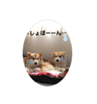 ケイト・郁舞スタンプ（個別スタンプ：14）