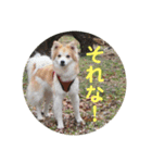 ケイト・郁舞スタンプ（個別スタンプ：15）