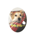 ケイト・郁舞スタンプ（個別スタンプ：25）