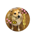 ケイト・郁舞スタンプ（個別スタンプ：29）