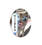 ケイト・郁舞スタンプ（個別スタンプ：31）