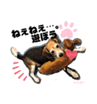 ビーグル犬✩ハッピー①（個別スタンプ：8）