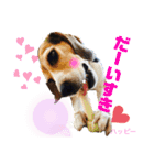 ビーグル犬✩ハッピー①（個別スタンプ：14）