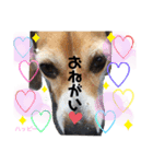 ビーグル犬✩ハッピー①（個別スタンプ：21）