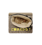ハリネズミのチップ（個別スタンプ：7）