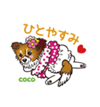 キャラパピスタンプパート3（個別スタンプ：14）