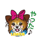 キャラパピスタンプパート3（個別スタンプ：30）