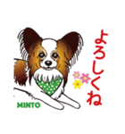 キャラパピスタンプパート3（個別スタンプ：32）