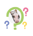 馬うますたんぷ（個別スタンプ：7）