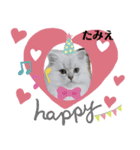 たみえ専用スタンプ（個別スタンプ：1）