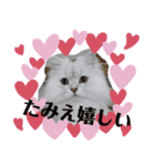 たみえ専用スタンプ（個別スタンプ：5）