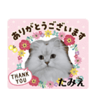 たみえ専用スタンプ（個別スタンプ：7）