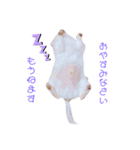 いんぬいんぬ（個別スタンプ：2）