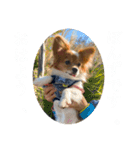 毎日、ぽんず。（個別スタンプ：40）