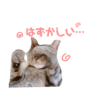 ぴっきーぴっきーの日常（個別スタンプ：2）