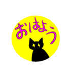キラーンにゃんこスタンプ（個別スタンプ：1）