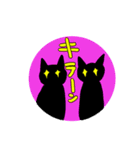 キラーンにゃんこスタンプ（個別スタンプ：10）