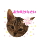 黒子の毎日2（個別スタンプ：18）