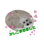 ぺんぺん_ふぁみりー_いのうえ（個別スタンプ：8）