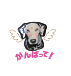 ぺんぺん_ふぁみりー_いのうえ（個別スタンプ：13）