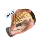 ぺんぺん_ふぁみりー_いのうえ（個別スタンプ：16）