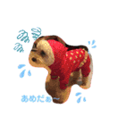 ぺんぺん_ふぁみりー_いのうえ（個別スタンプ：18）