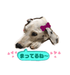 ぺんぺん_ふぁみりー_いのうえ（個別スタンプ：25）