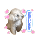 ぺんぺん_ふぁみりー_いのうえ（個別スタンプ：31）