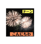 実写花火で挨拶するよん（個別スタンプ：1）