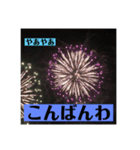 実写花火で挨拶するよん（個別スタンプ：3）