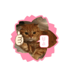 猫姫からのメッセージ。（個別スタンプ：3）