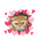 猫姫からのメッセージ。（個別スタンプ：10）