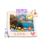 猫姫からのメッセージ。（個別スタンプ：16）