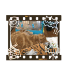 猫姫からのメッセージ。（個別スタンプ：18）