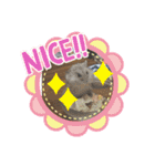 猫姫からのメッセージ。（個別スタンプ：19）