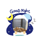 猫姫からのメッセージ。（個別スタンプ：23）