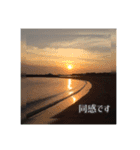 日常挨拶(丁寧語)風景写真②（個別スタンプ：5）