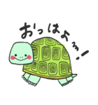 おへんじカメ（個別スタンプ：1）