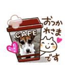 ジャックラッセルテリア（はつ）のスタンプ（個別スタンプ：14）