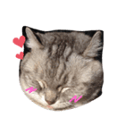 TAうちの子（個別スタンプ：3）