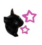 TAうちの子（個別スタンプ：7）
