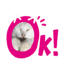 おらいのねこ 32コ（個別スタンプ：9）