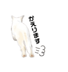 おらいのねこ 32コ（個別スタンプ：20）