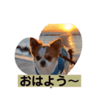 king ＆ Kong（個別スタンプ：7）
